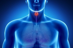 При удалении щитовидной железы Ваш доктор должен делать не менее 25 подобных операций в год