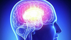 Опухоли головного мозга, новые открытия меняют стандарты лечения.